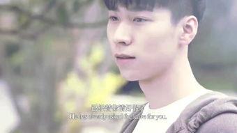 少爷在线观看,穿越时空的浪漫邂逅  第3张