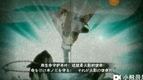 截拳李忍者爆料视频在线观看,揭秘截拳道精髓与实战技巧 第1张 截拳李忍者爆料视频在线观看,揭秘截拳道精髓与实战技巧 第1张